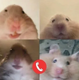 Хомячки (@safthome) telegram stickers