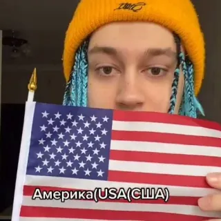 молдавская муха | @twilystickers telegram stickers