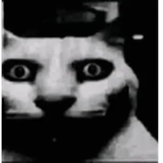 👻