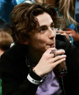 🦇 Timothée Chalamet celebridad, actor, hombre, retrato, bebiendo telegram sticker