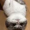 👆