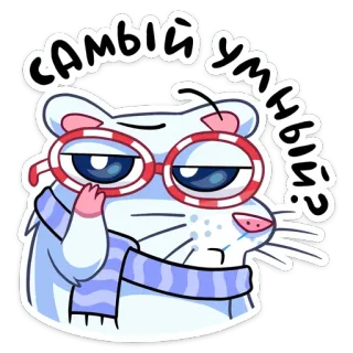 🤓 самый умный? hamster, kacamata, syal, imut, kartun, binatang, pintar whatsapp sticker