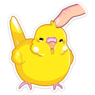 ☺️ vogel, geel, schattig, huisdier, parkiet, dier, cartoon telegram sticker