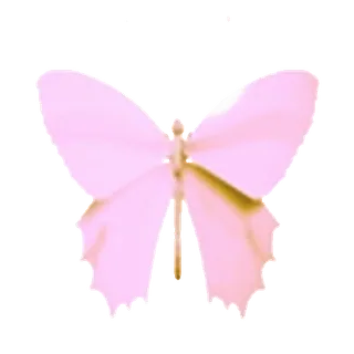 🦋