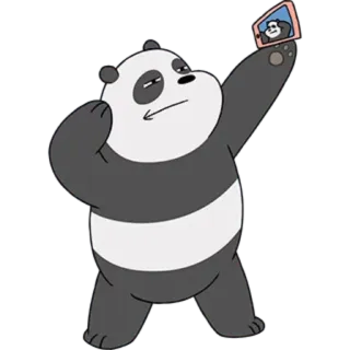 📷 Panda We Bare Bears Cartoon, Panda, Bär, Selfie, Tier, Niedlich, We Bare Bears whatsapp sticker