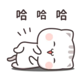 😂 哈哈哈 cat, cute, animal, funny, cartoon telegram sticker
