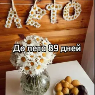 ☀️ До лета 89 дней verano, margaritas, cuenta atrás, flores, días, esperando telegram sticker