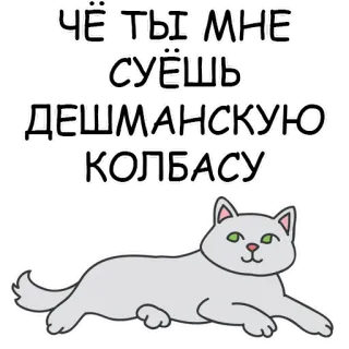 😟 ЧЁ ТЫ МНЕ СУЁШЬ ДЕШМАНСКУЮ КОЛБАСУ cat, russian, text, sticker, animal telegram sticker