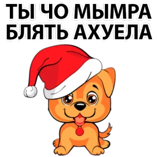 🤬 ТЫ ЧО МЫМРА
БЛЯТЬ АХУЕЛА dog, christmas, offensive, swear words, cussing, russian, santa hat, new year telegram sticker