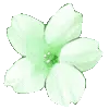 💚