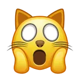 🙀