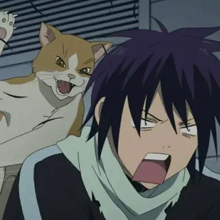 💎 Yato Noragami Anime, Katze, Yato, Noragami, Lustig, Verängstigt telegram sticker