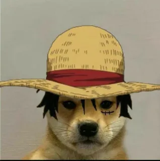 🌊 Monkey D. Luffy One Piece Anime, Hund, Luffy, Strohhut, Shonen, Manga telegram sticker