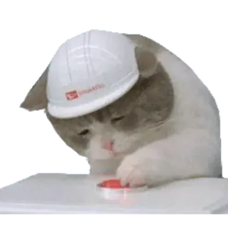 aleshaanimals telegram stickers