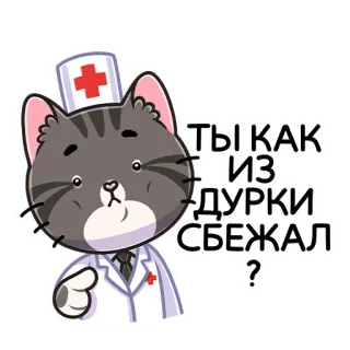 👨‍⚕️ ТЫ КАК ИЗ ДУРКИ СБЕЖАЛ? kucing, dokter, perawat, rusia, stiker, medis whatsapp sticker