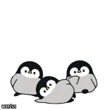 Baby Penguin by @wontae whatsapp stickers