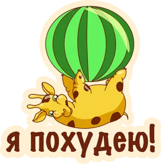 👌 Я похудею! girafa, melancia, dieta, desenho animado, fofo, engraçado, animal telegram sticker