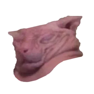 🥴 animal, créature, bizarre, laid telegram sticker