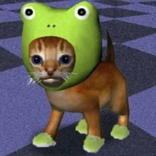 🐸 gatto, rana, animale, carino, meme, arte digitale, divertente telegram sticker