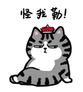 😒 怪我勒! mèo, nhãn dán, dễ thương, động vật, meme, xám telegram sticker