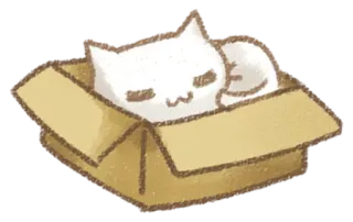 😴 kucing, kotak, tidur, hewan, peliharaan, lucu telegram sticker