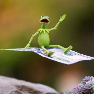 🤑 Kermit 커밋, 돈, 백 달러 지폐, 인형, 금융, 달러 telegram sticker
