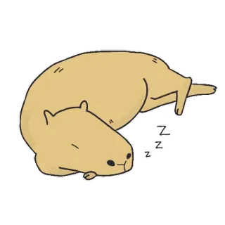 🥱 zzz capivara, dormindo, animal, fofo, zzz, desenho animado telegram sticker