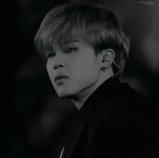 🌑 Jimin kpop, чимин, bts, айдол, корейская поп-музыка, певец telegram sticker