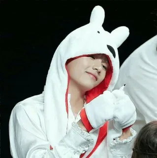 🍍 person, bunny, hoodie, cute, smile, kpop telegram sticker