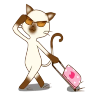 😎 gatto, occhiali da sole, valigia, animale, cartone animato, viaggio, carino whatsapp sticker