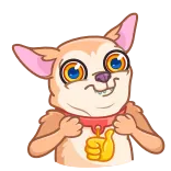 🐶