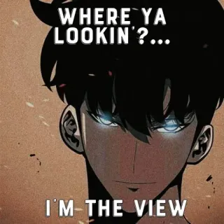 ☠ WHERE YA LOOKIN'?... 
I'M THE VIEW Anime, Mann, Zitat, Schauen, Ansicht, Solo Leveling telegram sticker