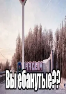 🤑 Вы ебанутые?? Nadym, Russia, Russian language, city, offensive whatsapp sticker