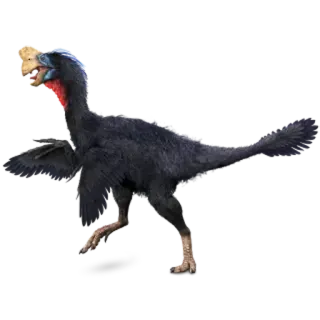 Dinosaurs @PunjabiSticker whatsapp stickers