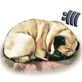 😞 퍼그, 개, 자는, 귀여운, 동물, 애완 동물 telegram sticker