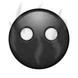🌚