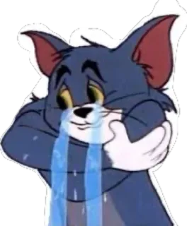 😢 Tom Cat Tom and Jerry Cartone animato, Piangendo, Gatto, Meme, Triste telegram sticker