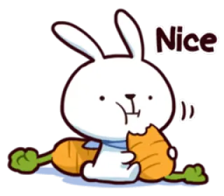 🥕 Nice Hase, Kaninchen, süß, Karotte, Tier, nett telegram sticker
