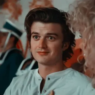 😐 Steve Harrington Stranger Things Steve Harrington, Stranger Things, personagem, ator, retrato, série de TV telegram sticker