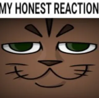 🗿 MY HONEST REACTION แมว, มีม, ปฏิกิริยา, สัตว์, ตลก, อารมณ์ telegram sticker