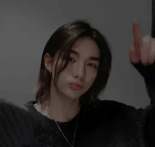 🎲 personne, homme, portrait, k-pop, coréen, asiatique, garçon telegram sticker