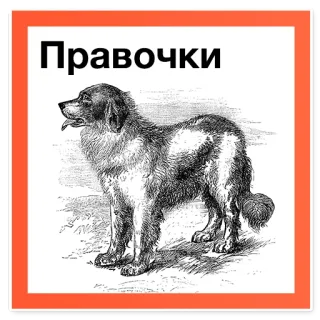 😞 Правочки dog, text, animal, domestic animal telegram sticker