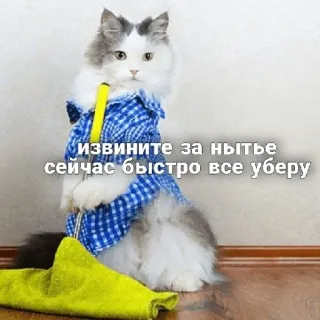 🥲 извините за нытье сейчас быстро все уберу แมว, ทำความสะอาด, น่ารัก, สัตว์, สัตว์เลี้ยง, ขอโทษ telegram sticker