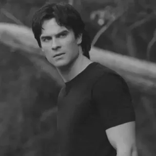▪️ Damon Salvatore The Vampire Diaries Ian Somerhalder, wampir, serial TV, nadprzyrodzone, portret, aktor telegram sticker