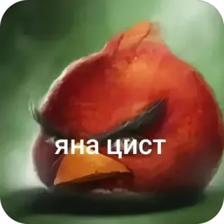 Больше стиков тут: @stikery4 telegram stickers