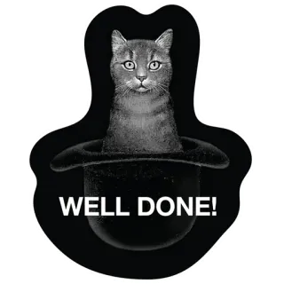 ✨ WELL DONE! кот, молодец, шляпа, поздравляю, животное, милый telegram sticker