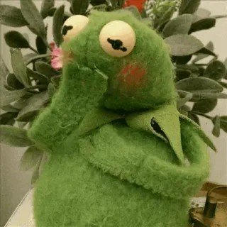 🐸 Kermit kermit the frog, puppet, frog, cute, green telegram sticker
