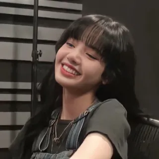 😁 Lisa Lisa, Blackpink, K-Pop, Chanteuse, Idole, Sourire, Femme, Célébrité telegram sticker