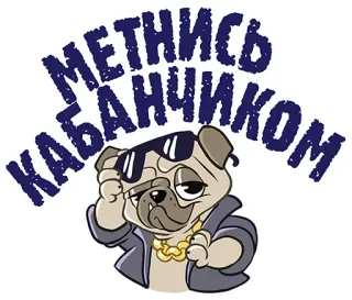 👌 МЕТНИСЬ КАБАНЧИКОМ perro, carlino, gafas de sol, dibujos animados, animal telegram sticker