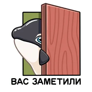 👁 ВАС ЗАМЕТИЛИ 범고래, 고래, 엿보기, 문, 러시아어, 알아챔, 알아챔 telegram sticker